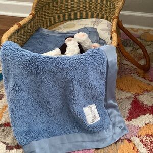 Little Giraffe baby boy blanket